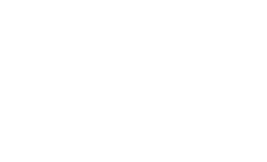 Band Logo The Vintage Caravan