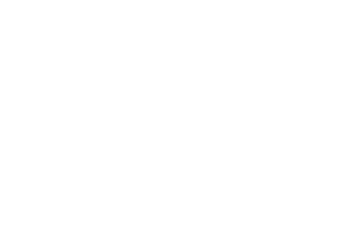The Night Flight Orchestra