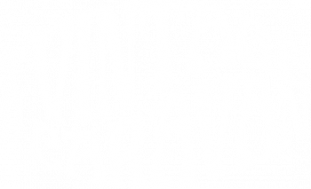 The Vintage Caravan